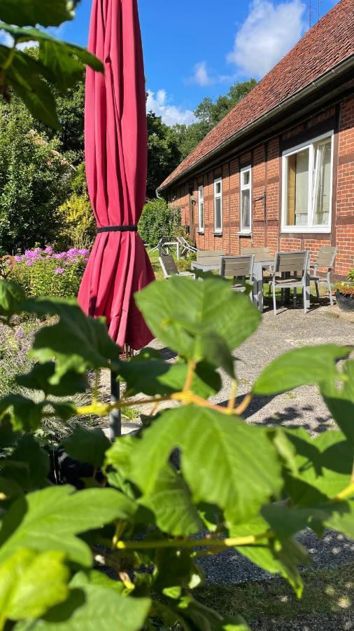 Hof Dueshop Apartment Bad Fallingbostel Luaran gambar
