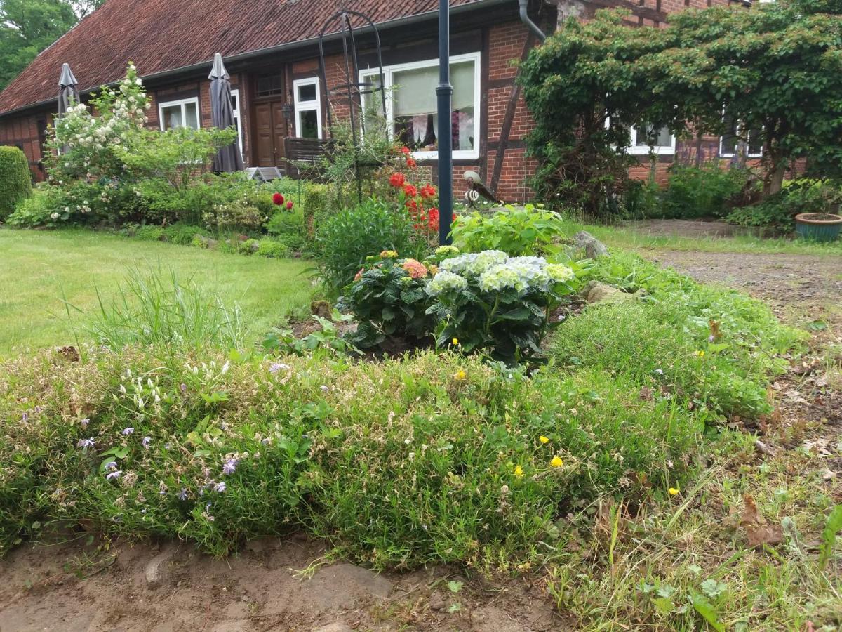 Hof Dueshop Apartment Bad Fallingbostel Luaran gambar