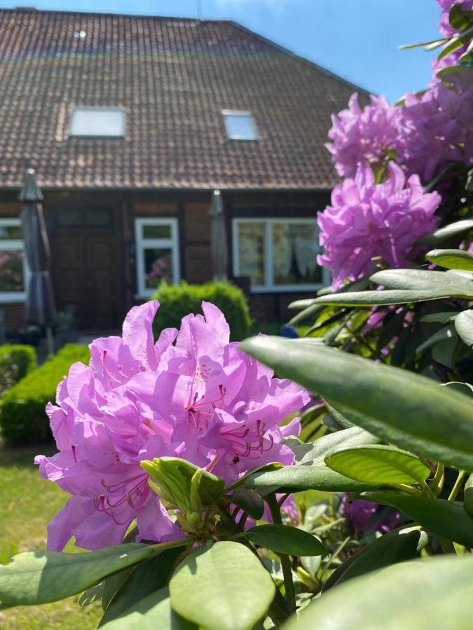 Hof Dueshop Apartment Bad Fallingbostel Luaran gambar